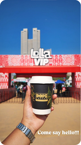 Lollapalooza VIP